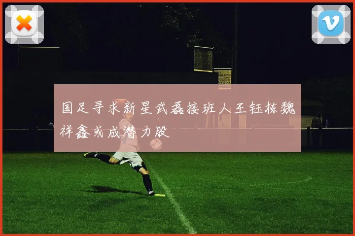 国足寻求新星武磊接班人王钰栋魏祥鑫或成潜力股
