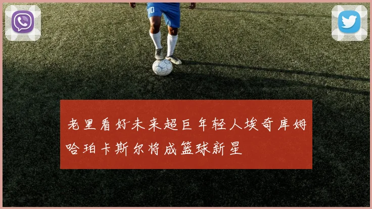 老里看好未来超巨年轻人埃奇库姆哈珀卡斯尔将成篮球新星